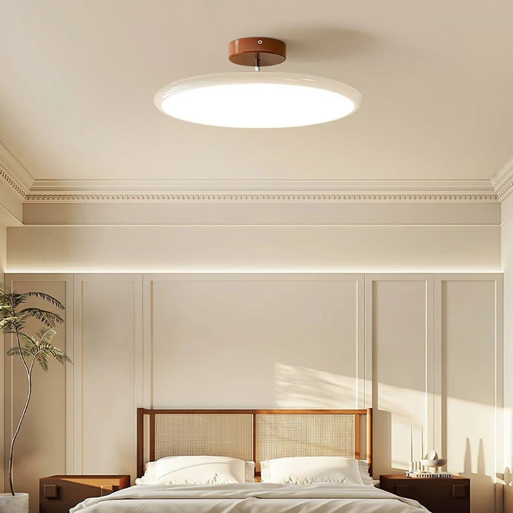 Adjustable Modern LED Ceiling Light