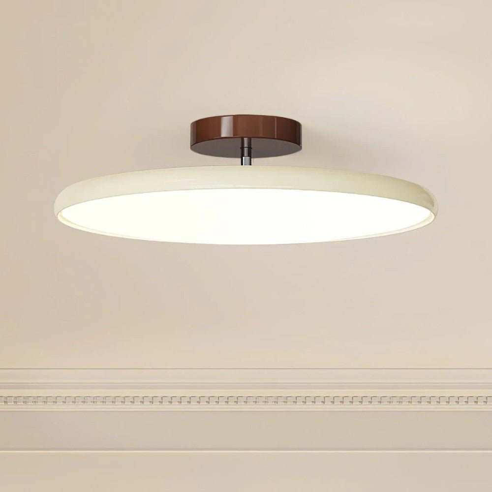 Adjustable Modern LED Ceiling Light