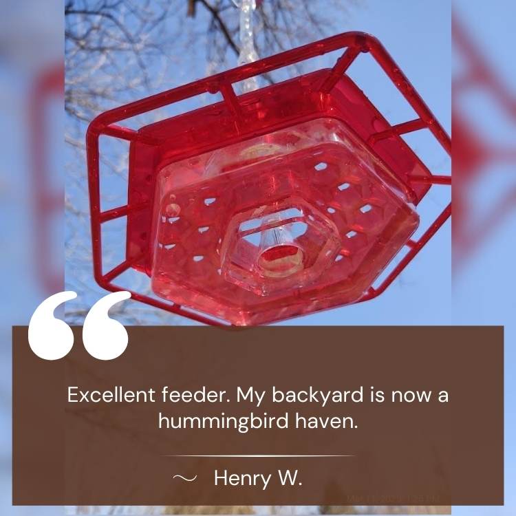 Decorative Garden Hummingbird Feeder