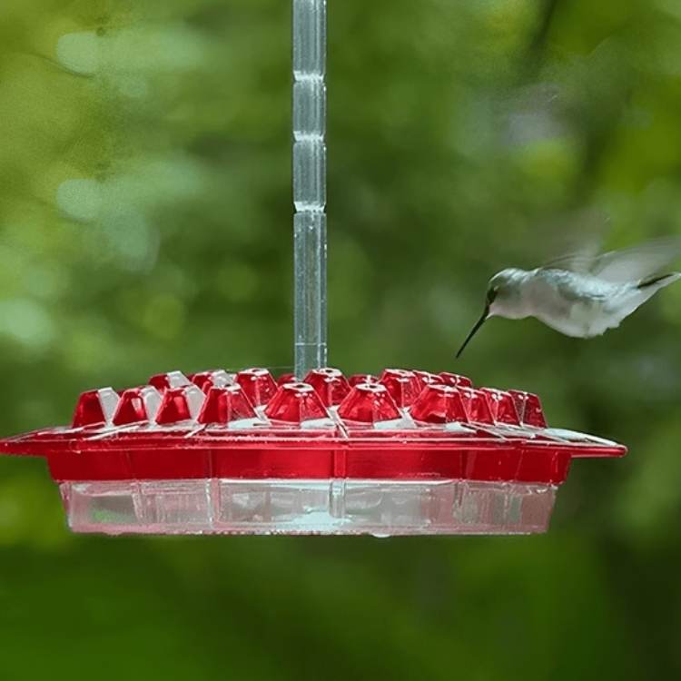 Decorative Garden Hummingbird Feeder