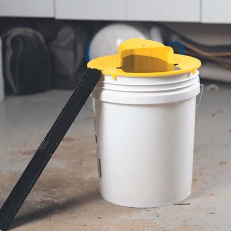 SmartCatch Mouse Trap