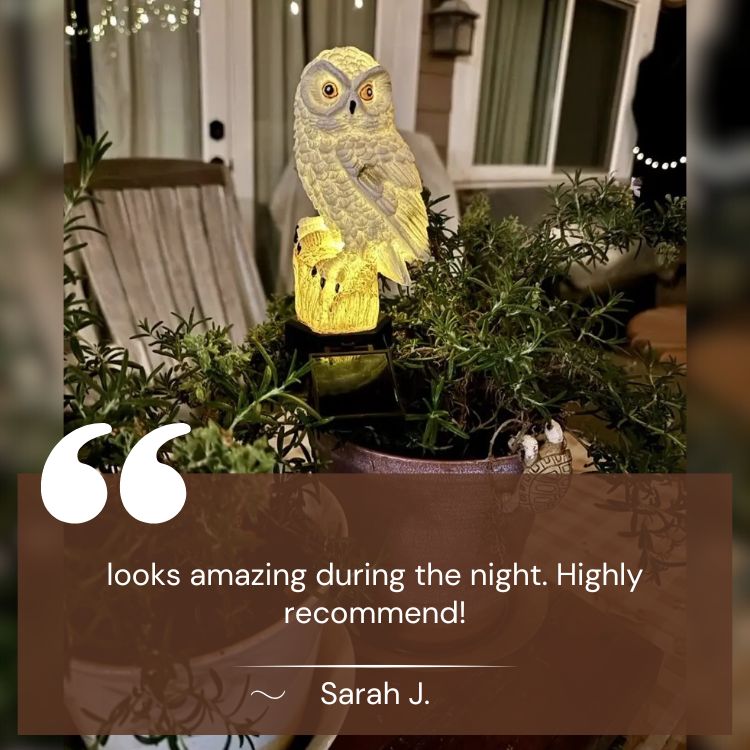 Solar Owl Garden Light