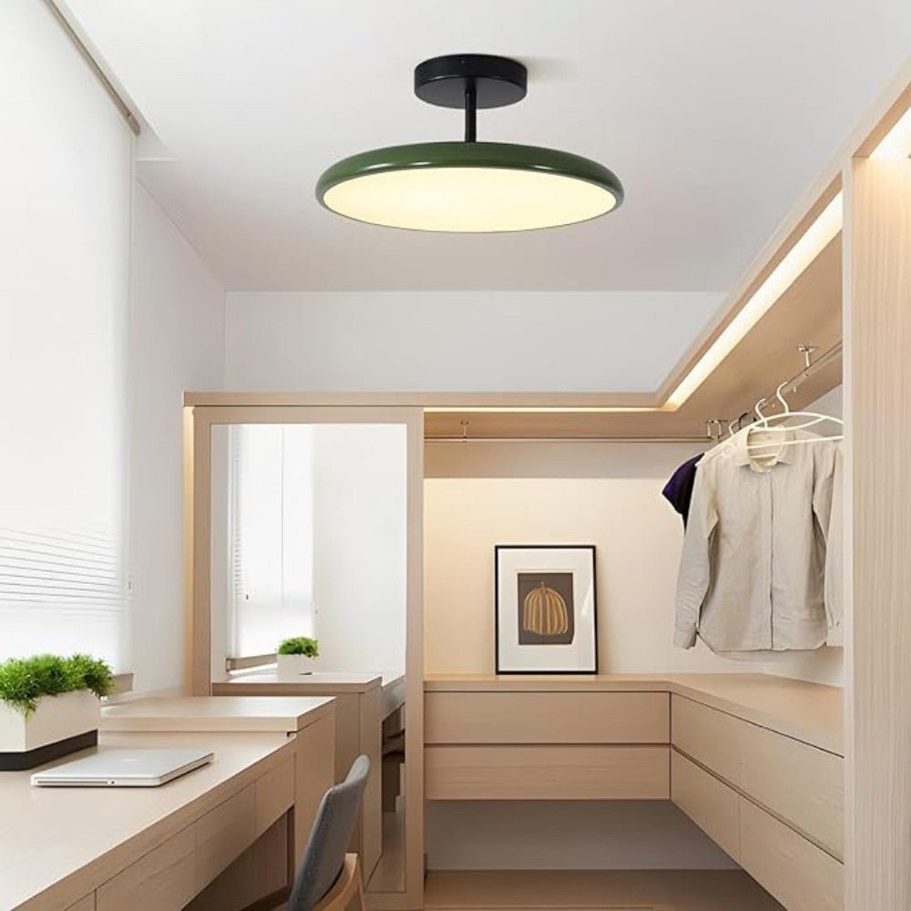 Adjustable Modern LED Ceiling Light