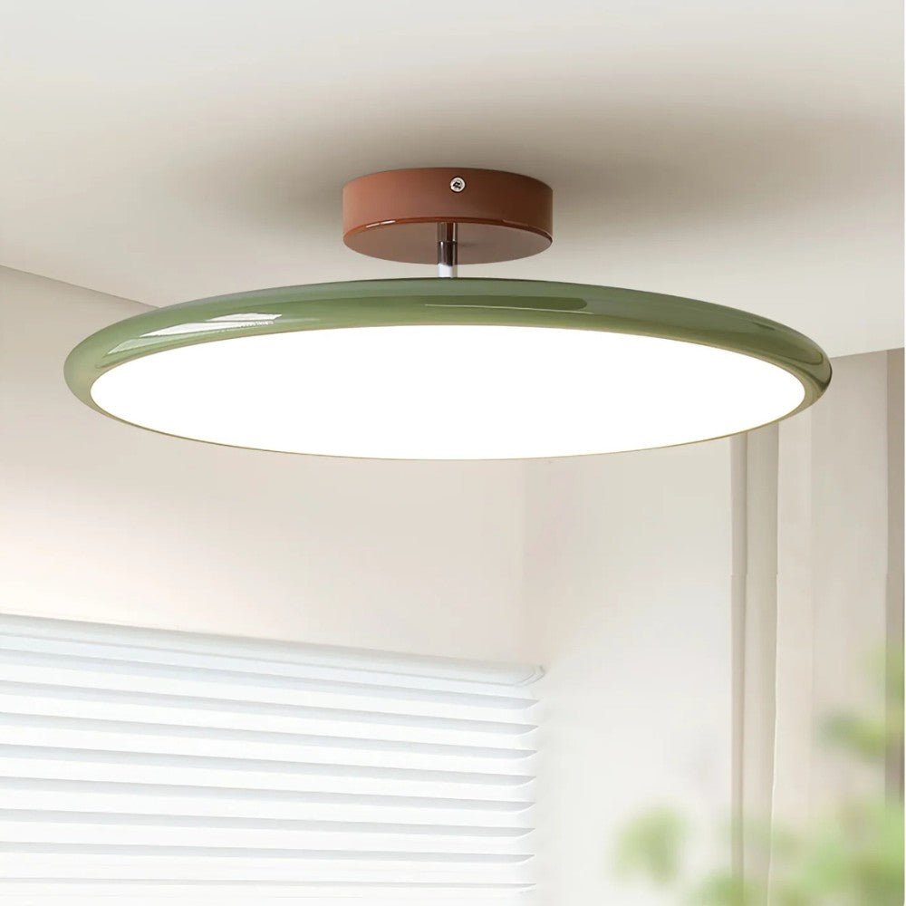 Adjustable Modern LED Ceiling Light