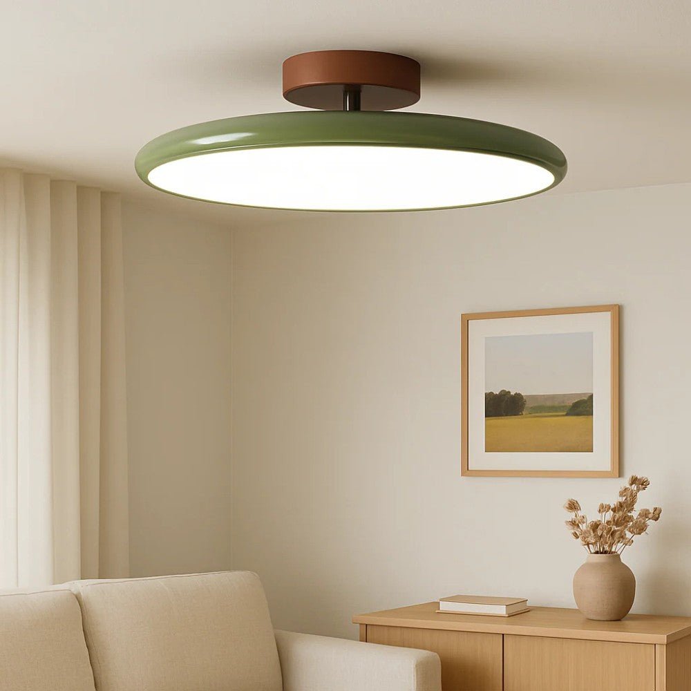 Adjustable Modern LED Ceiling Light
