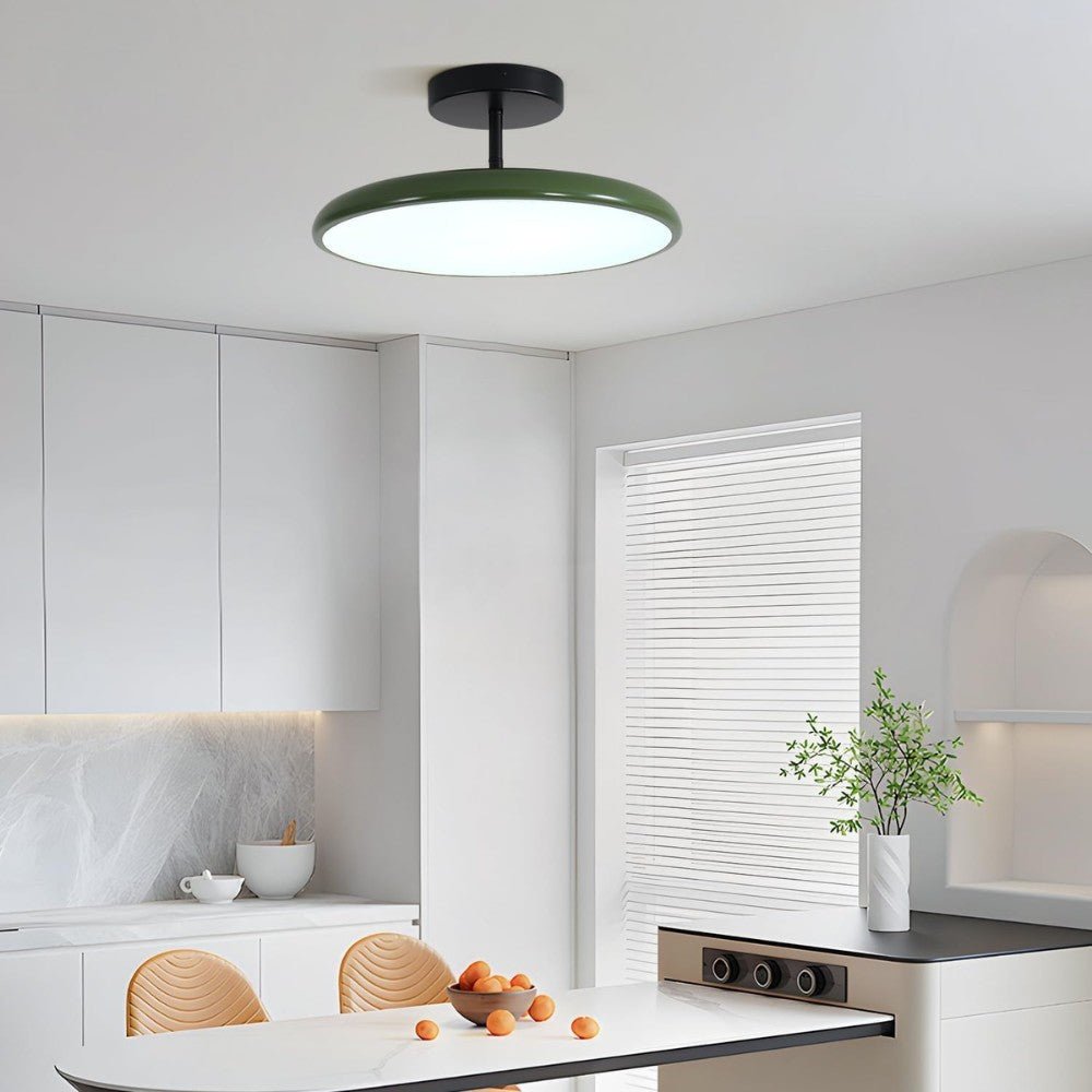 Adjustable Modern LED Ceiling Light