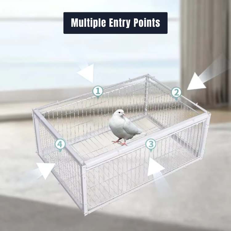 FeatherGuard Bird Cage