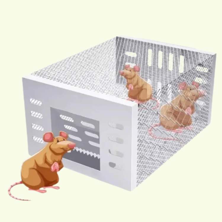 NoEscape Stainless Mouse Trap