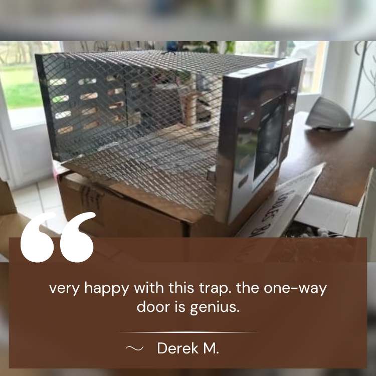 NoEscape Stainless Mouse Trap