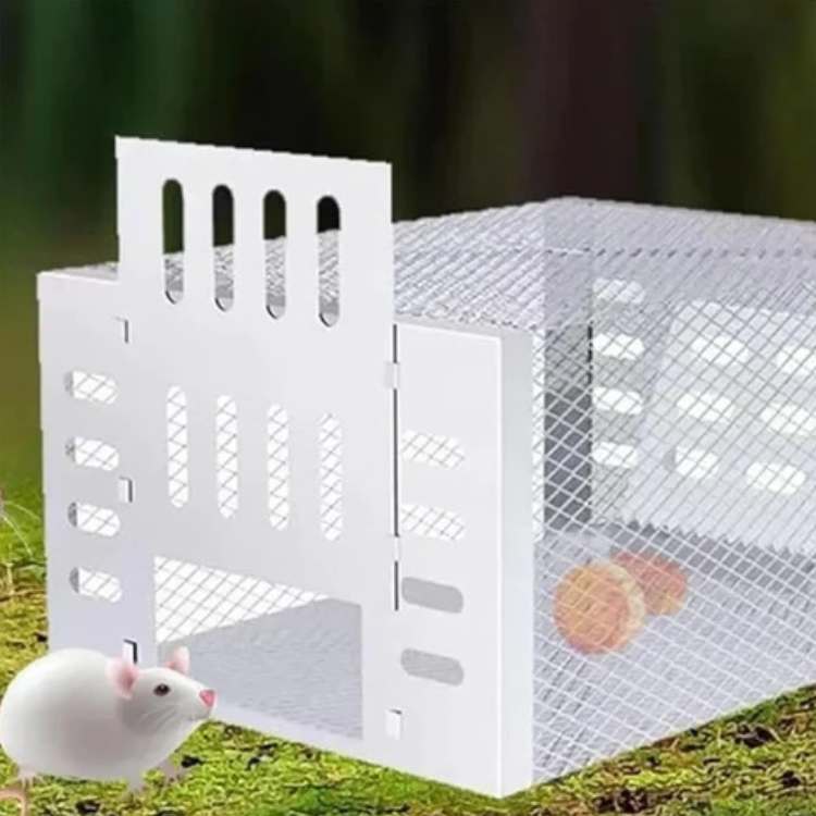 NoEscape Stainless Mouse Trap