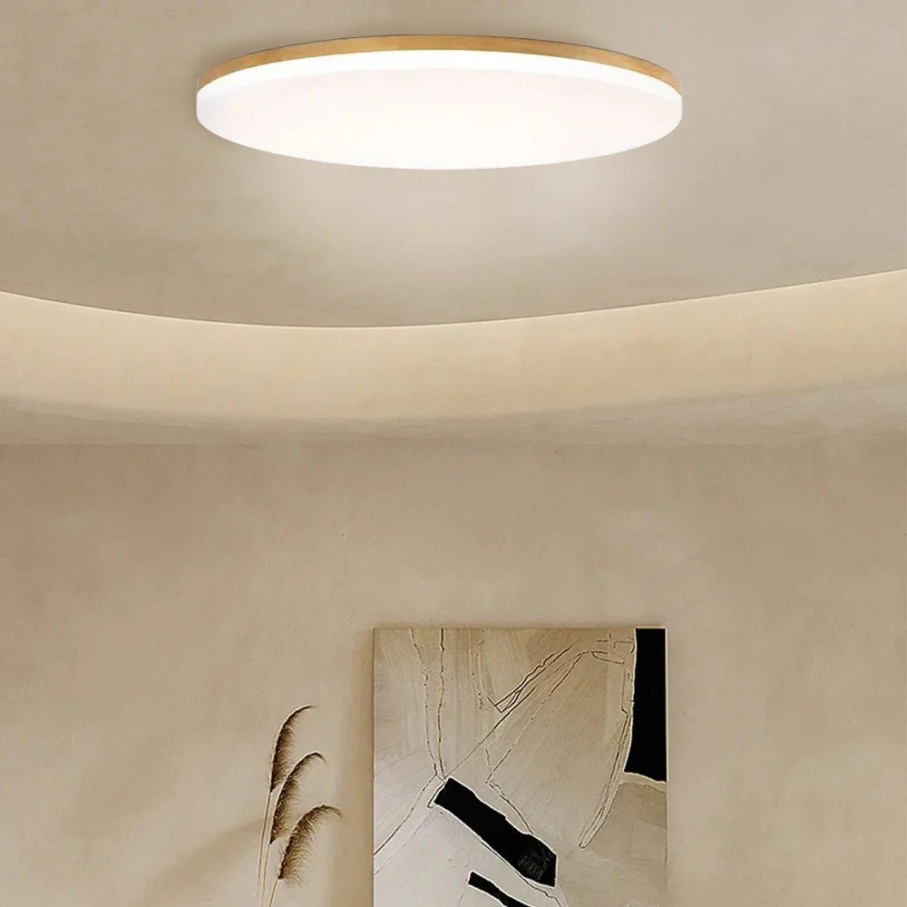 Soft Glow Natural LED Ceiling Lamp